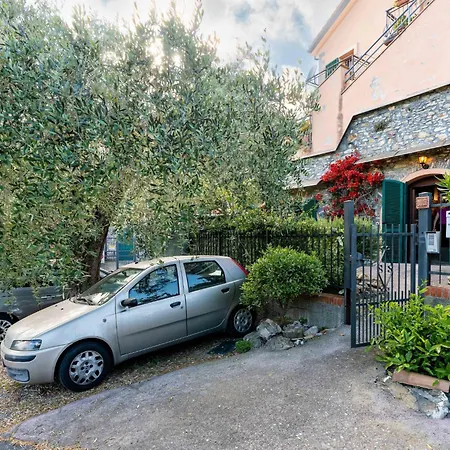Lägenhet La Bouganville - Rustico Con Giardino By Interhome