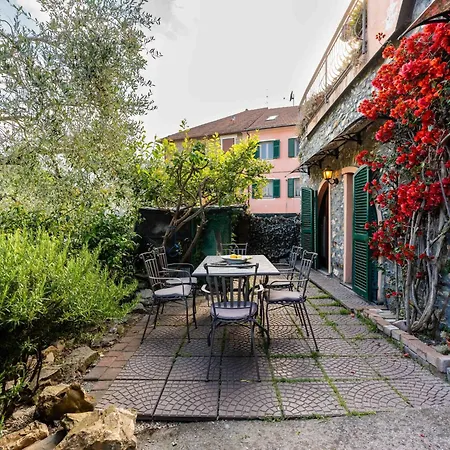 La Bouganville - Rustico Con Giardino By Interhome * Molino Nuovo (Savona)